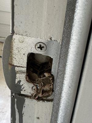 Maggots nesting in door lock