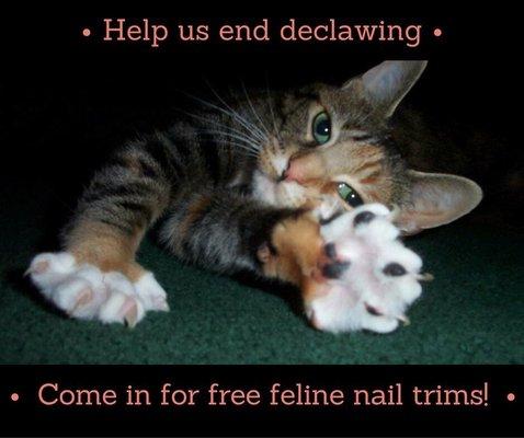 Ask about our kinder alternatives to declawing!