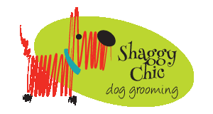 Shaggy Chic Dog Grooming