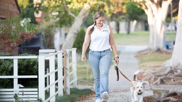 Dog Walking Services