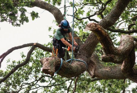 Jefferies Robert Logging & Tree Service