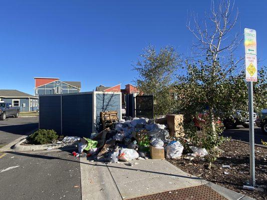 Overflowing dumpsters a chronic problem.