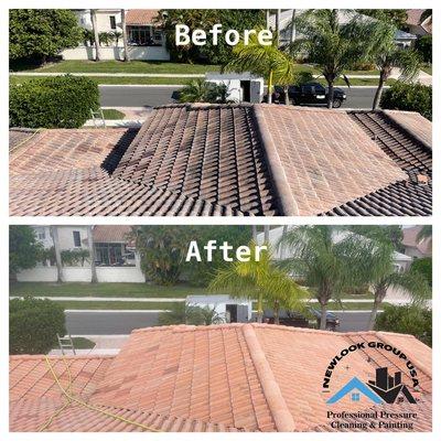 Roofing Soft Washing