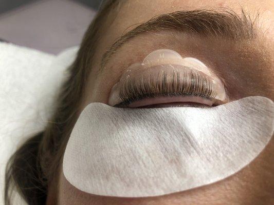 The lash lift procedure