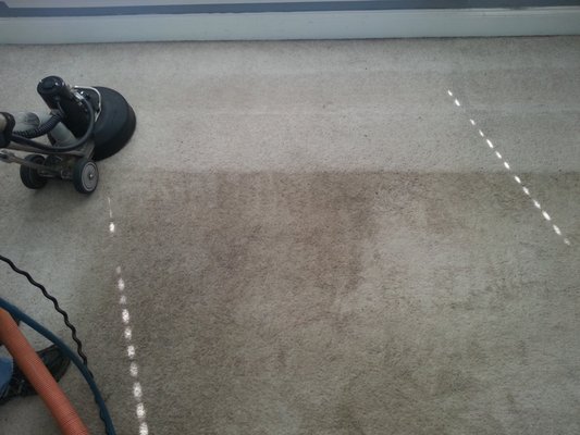 Angel's Touch Carpet Cleaning