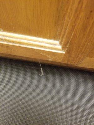 Cob web hanging from the bottom of kitchen cabinet