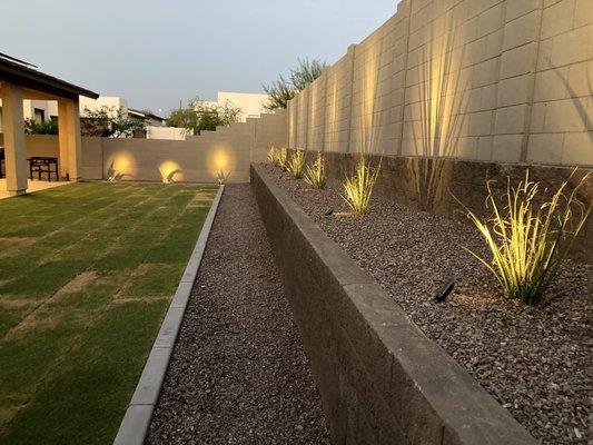 Back yard, yes, that is real grass in AZ, I prefer because its cooler in the Summer... and worth every penny of maintenance.