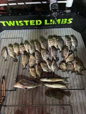 Twisted Limbs Bowfishing