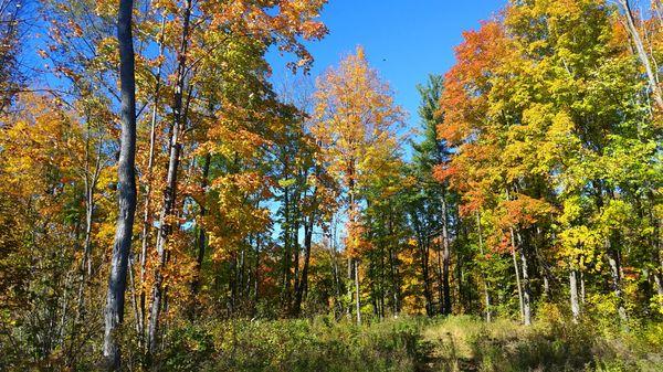 Mc Clintock County Park