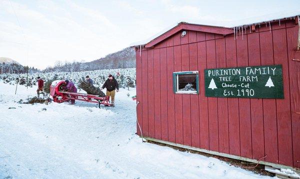 Purinton Family Tree Farm