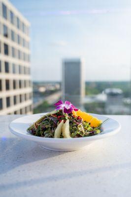 Micro Herb Salad