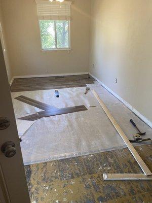 Going from Carpet to wood floors!