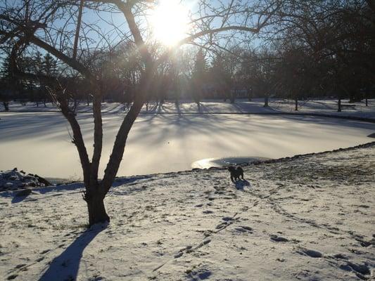 Hoopes park in Auburn a great place all year round