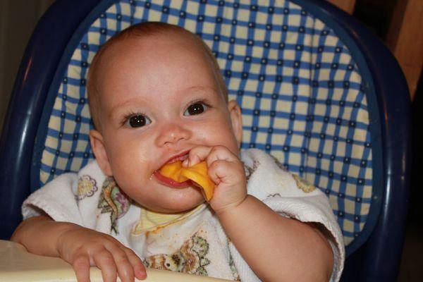 Starting solid foods is an exciting time in your baby's life. I teach first foods from a scientific and historical perspective.