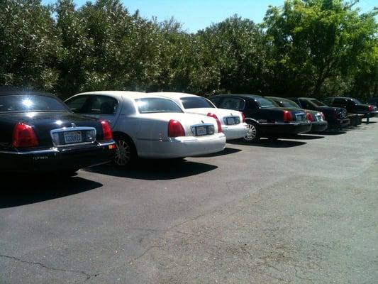 some of our town car fleet