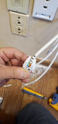 Work on a Cat 6 connector