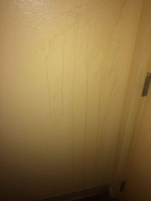 Stains on the walls