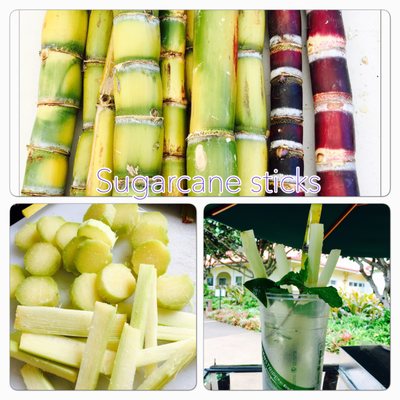 Hawaii Sugarcane