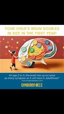 Play Smart! 
 Our Education Based Programs are designed to enhance Brain Development for ages 2mos-5yrs.