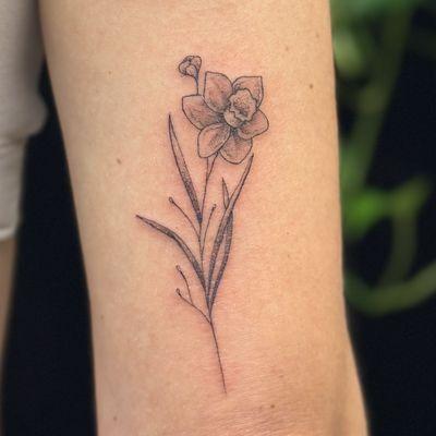 Fine line tattoo of a delicate flower daffodil on the back of the arm