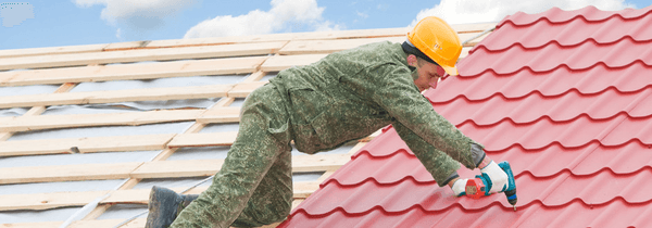 Crawl Space Specialist