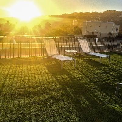 Love the new grass on the rooftop