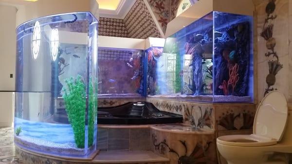 Custom aquarium built around a Jacuzzi