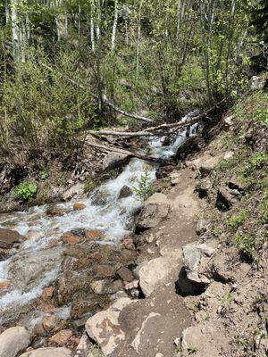 booth lake trail