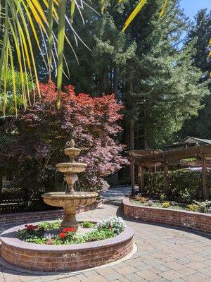 The courtyard area full of lovely flowers and colors.