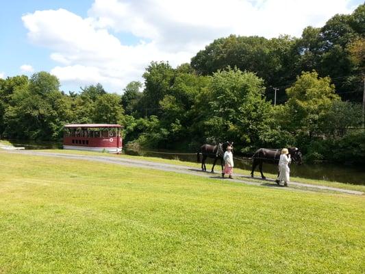 Mule-drawn canal boat ride