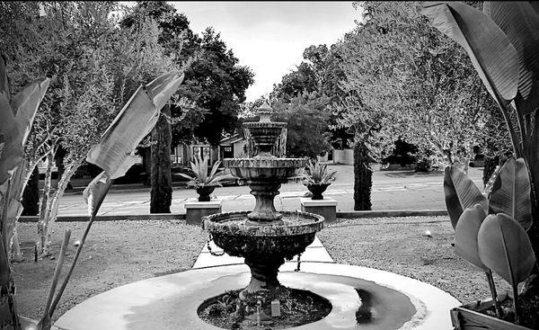 The Fountain, Tiny Canines Play & Stay