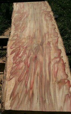 Flame Box Elder Slabs