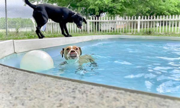 Making a splash with Winnie