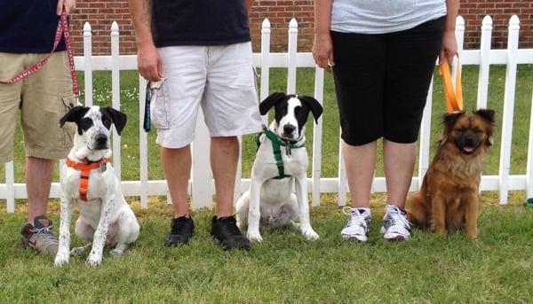 Puppy Class