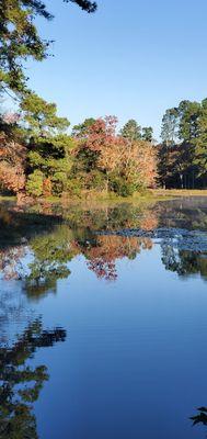 Blue Gill Pond