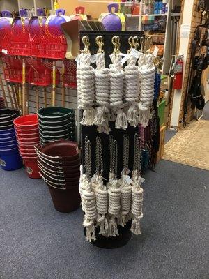 We have lots of new lead ropes-both cotton & nylon-great colors too!