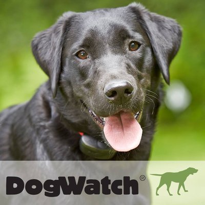 DogWatch by Acree Landscaping