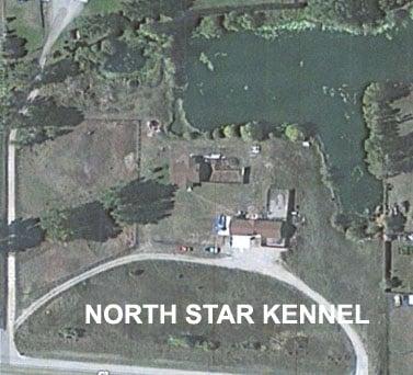 North Star Kennel:5 acres with 2 exercise areas, 2 acre pond, specialized care for dogs and cats. Long term care available for reduced rates