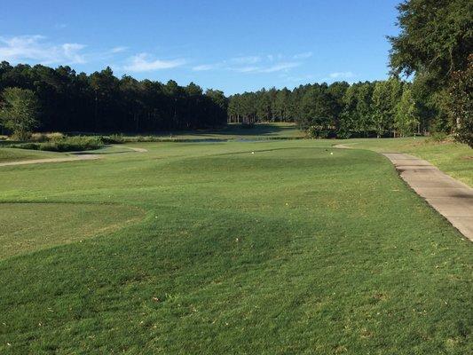 Abraham Baldwin Agricultural College - Forest Lakes Golf Course - hole 8.