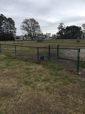 One side of the dog park with gazebo.