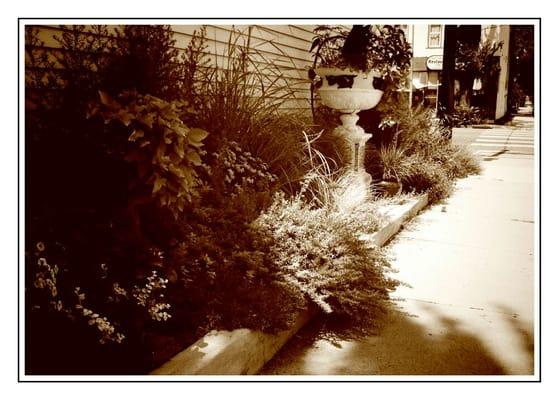 Garden outside Buckley's Homestead Supply