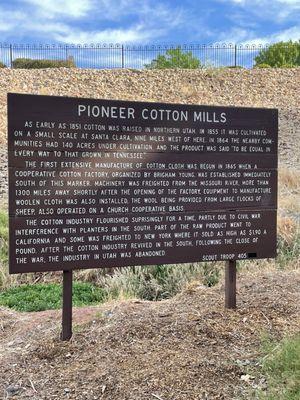 Historical information on pioneer cotton