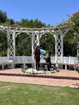 Proposal at the arboretum