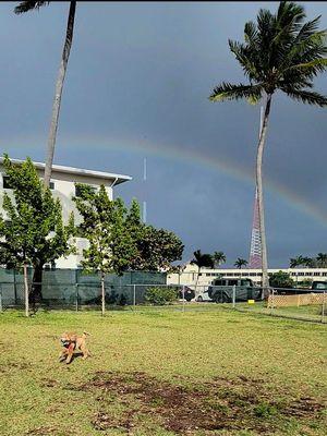 Rainbow before the downpour