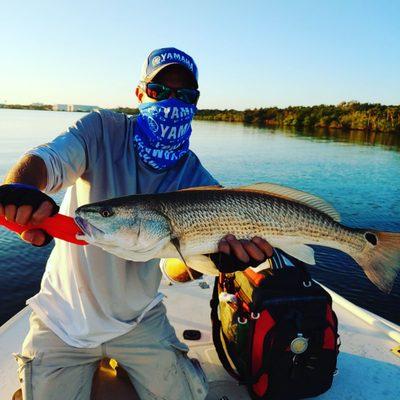 #Redfish caught on a #Rapala #skitterwalk #Indianriver #Fynixxrodz #Spiderwire