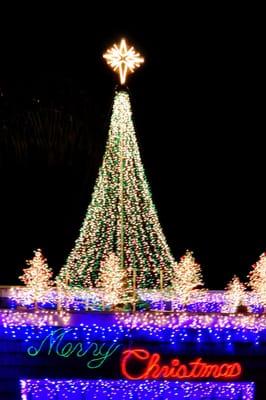 Allied Gardens Home Christmas Lights Display