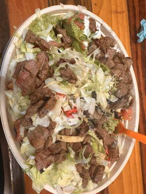 The Big Steak Bowl