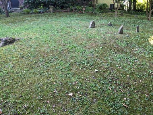 Revolutionary War Graveyard, Dandridge