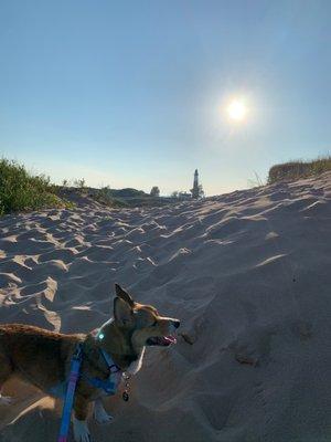 Ludington State Park