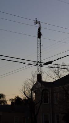 Just noticed the giant radio tower behind the WRBH building